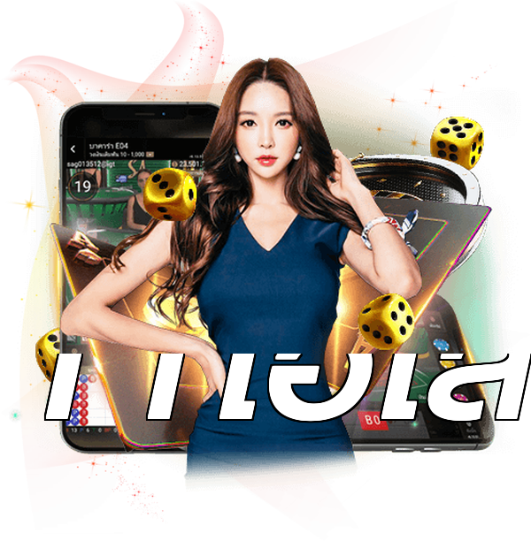 11ไฮโล